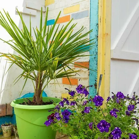 Сasa de vacaciones L'étoile De *